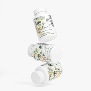 Sanat: Ginkgo Biloba + Ginseng