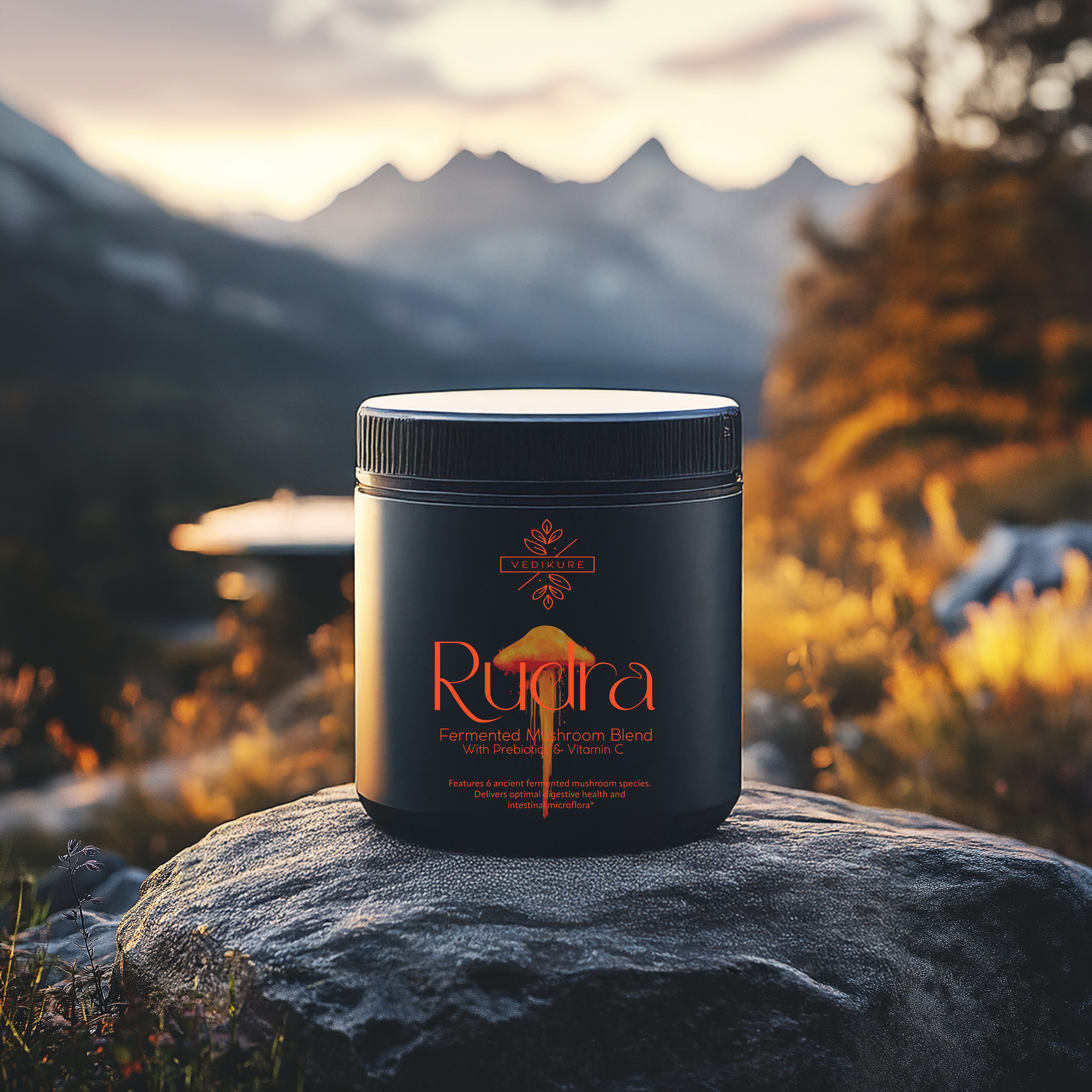 Rudra : Premium ORGANIC Fermented Mushroom Blend